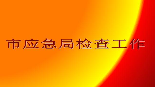 2023年度內(nèi)蒙古蒙聯(lián)石化公司安全評估檢查