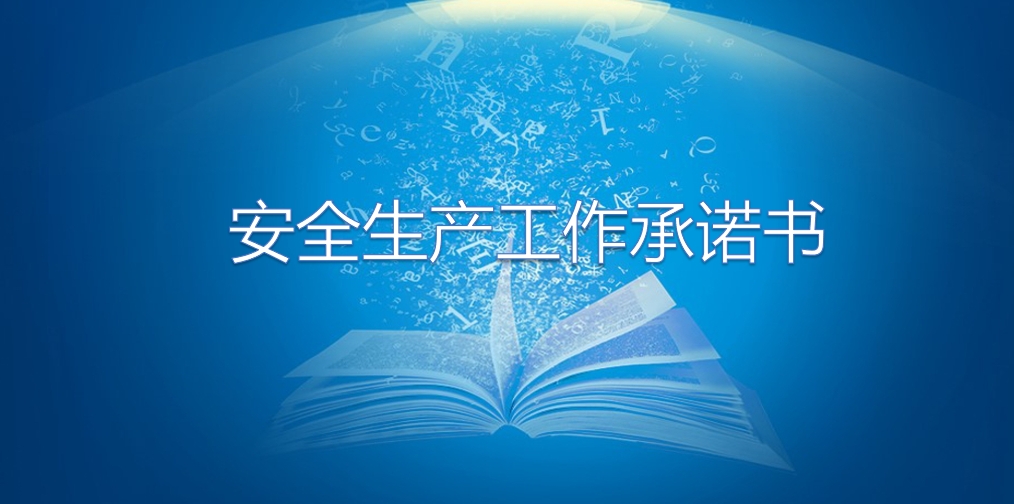 2025年蒙聯(lián)石化安全生產(chǎn)工作承諾書(shū)